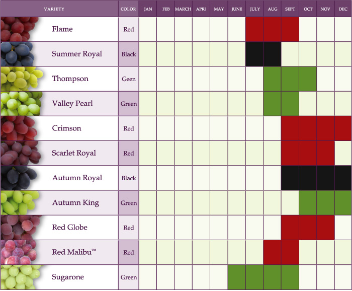 Grape Variety Chart